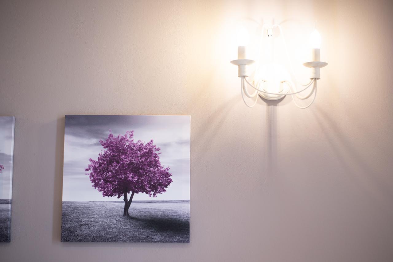 Lucia'S Home ฟลอเรนซ์ ภายนอก รูปภาพ